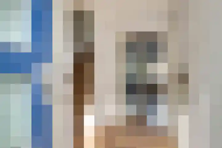 Koolmees 7 De Lier thumbnail 6