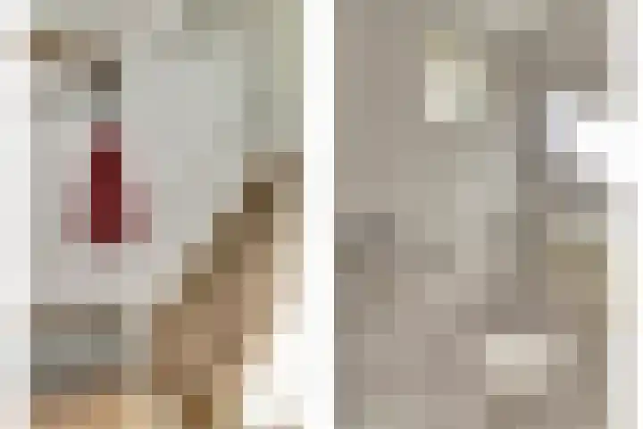 Koolmees 7 De Lier thumbnail 8