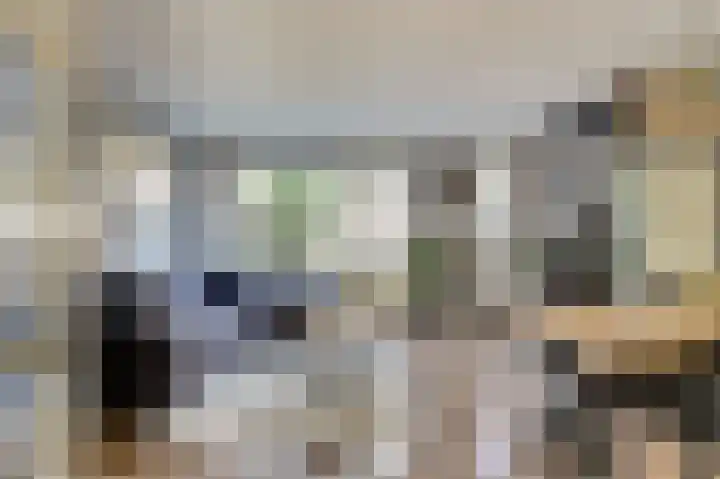 Koolmees 7 De Lier thumbnail 9