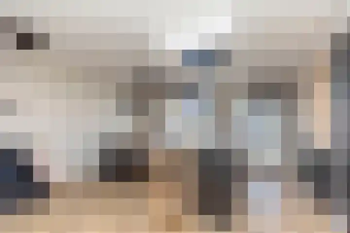 Koolmees 85 Ridderkerk thumbnail 11