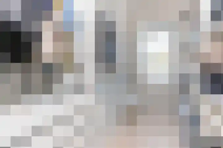 Koolmees 85 Ridderkerk thumbnail 14