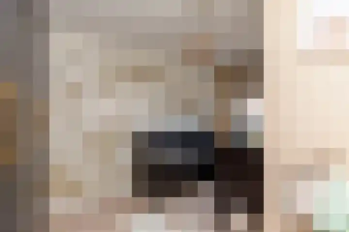 Koolmees 85 Ridderkerk thumbnail 19