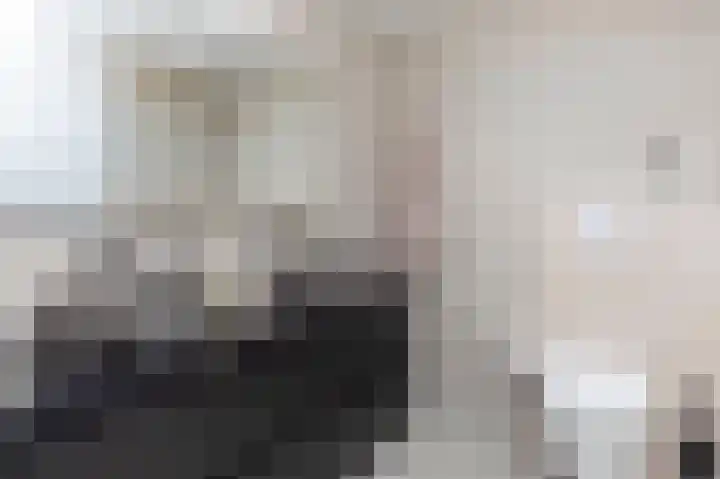 Koolmees 85 Ridderkerk thumbnail 22