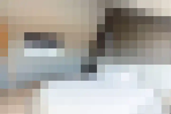 Koolmees 85 Ridderkerk thumbnail 27