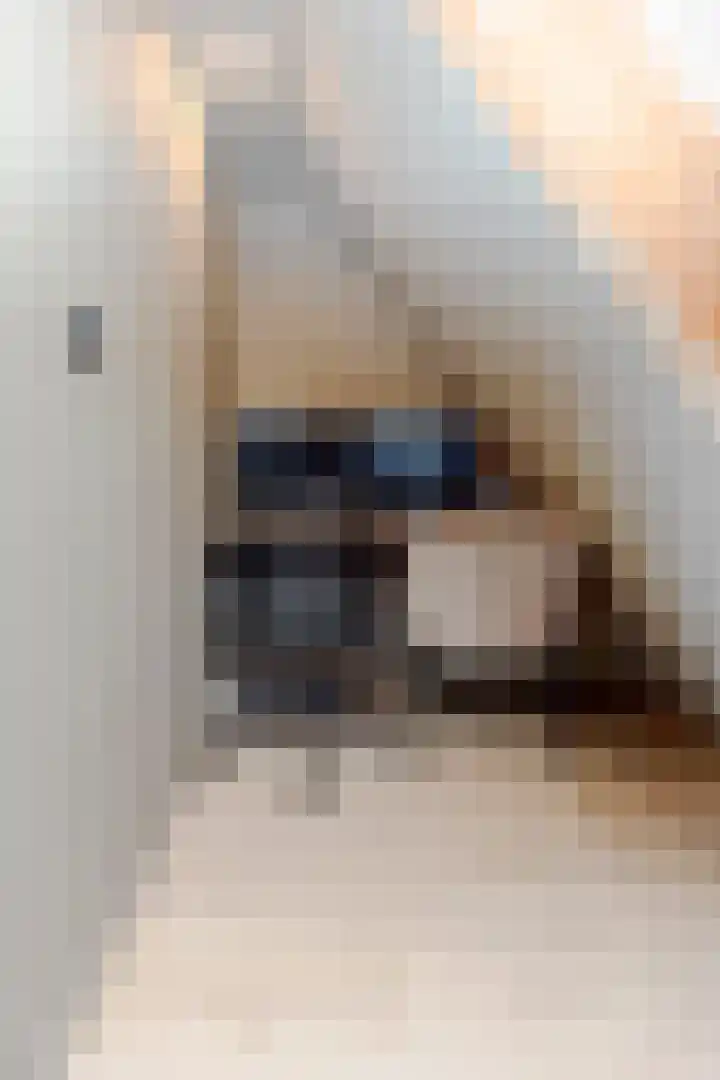 Koolmees 85 Ridderkerk thumbnail 28