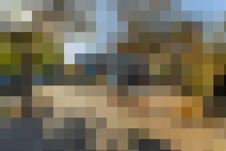 Koolmees 85 Ridderkerk thumbnail 33