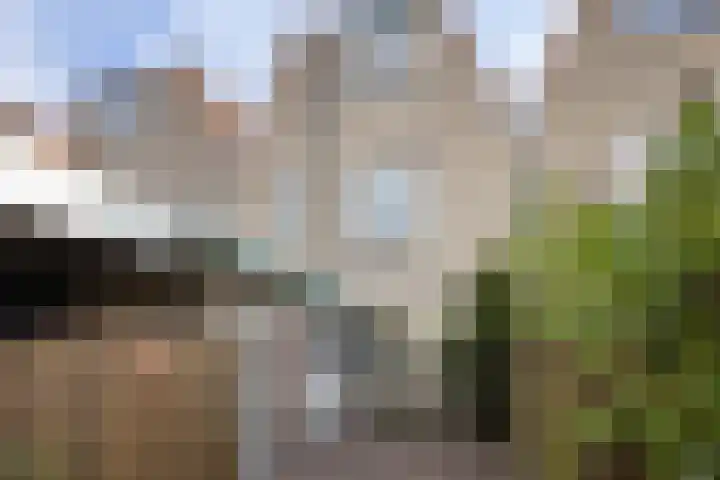 Koolmeesstraat 15 Neede thumbnail 23