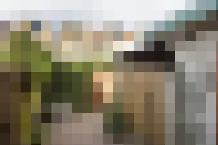 Koolmeesstraat 15 Neede thumbnail 25