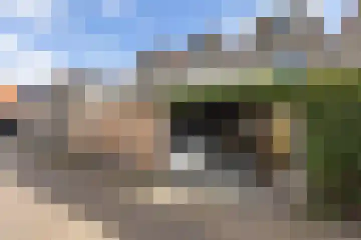 Koolmeesstraat 15 Neede thumbnail 27