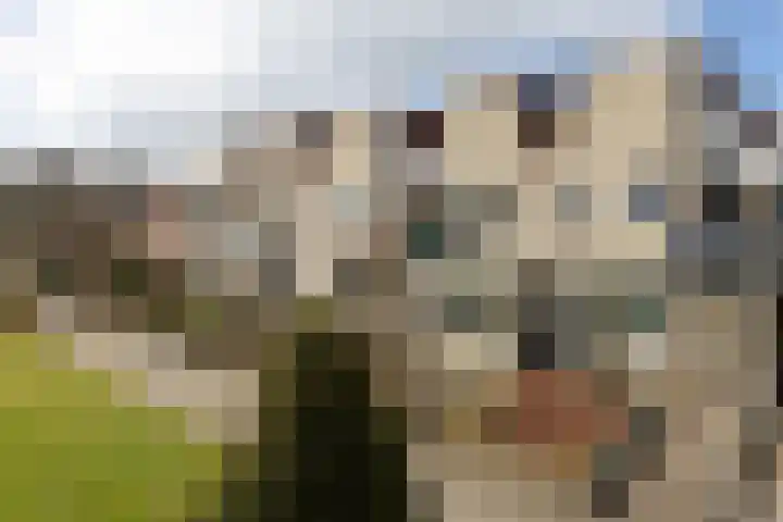 Koolmeesstraat 15 Neede thumbnail 29