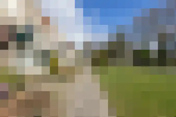 Koolmeesstraat 15 Neede thumbnail 31