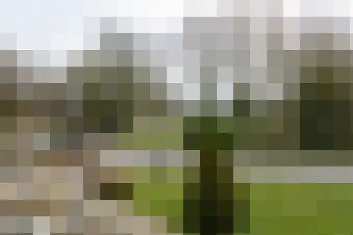 Koolmeesstraat 15 Neede thumbnail 33