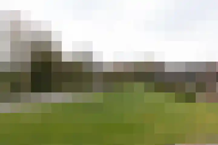 Koolmeesstraat 15 Neede thumbnail 34