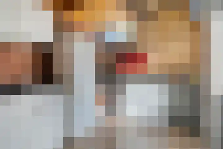 Koolmeesstraat 6 Ommen thumbnail 11