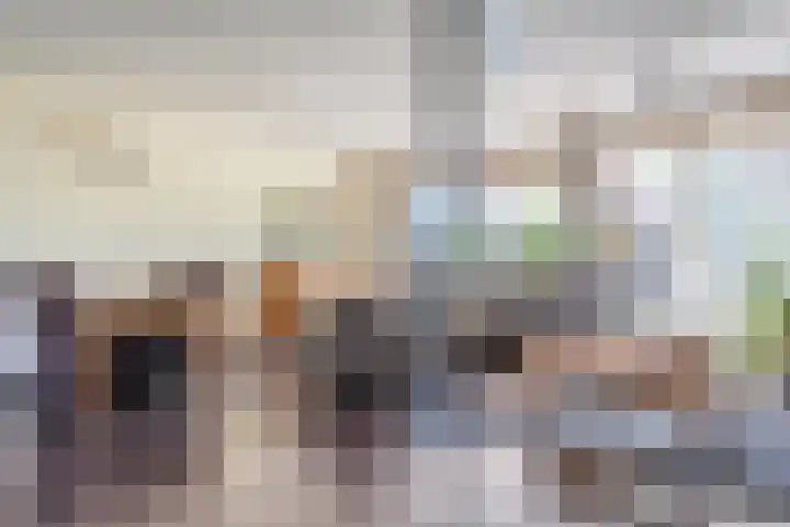 Koolmeesstraat 6 Ommen thumbnail 14
