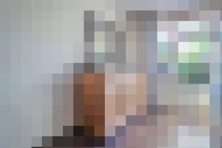 Koolmeesstraat 6 Ommen thumbnail 17