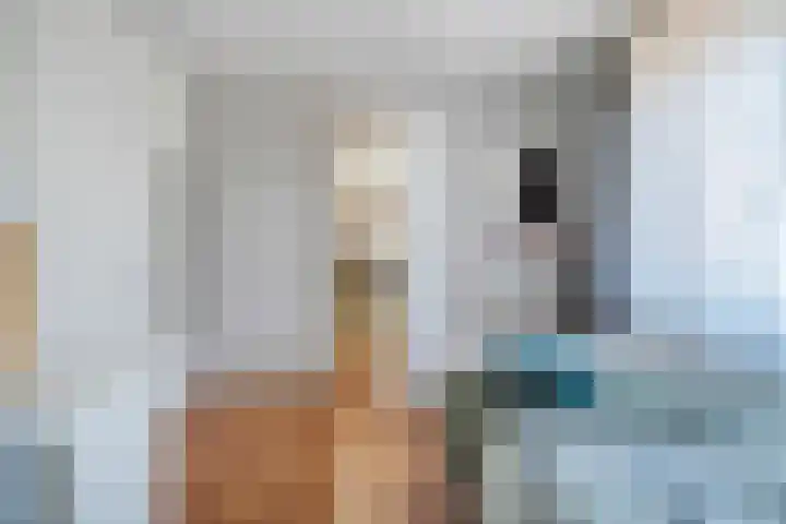 Koolmeesstraat 6 Ommen thumbnail 30