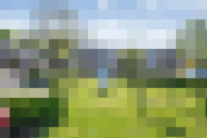 Koolmeesstraat 6 Ommen thumbnail 5