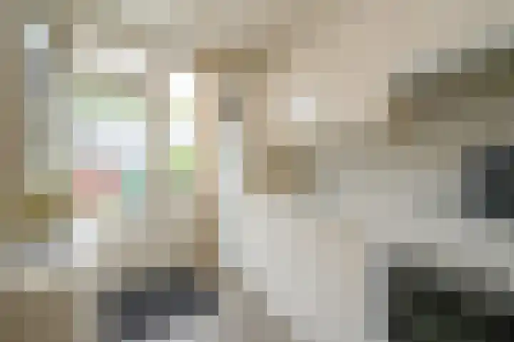 Koolmeesstraat 9 Maassluis thumbnail 13