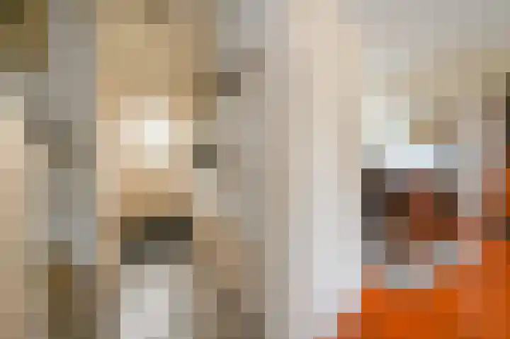 Koolmeesstraat 9 Maassluis thumbnail 5