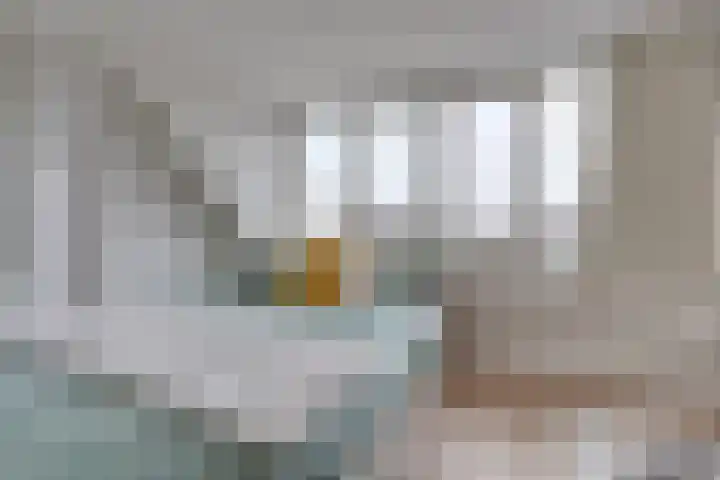 Koolstraat 47 Utrecht thumbnail 22