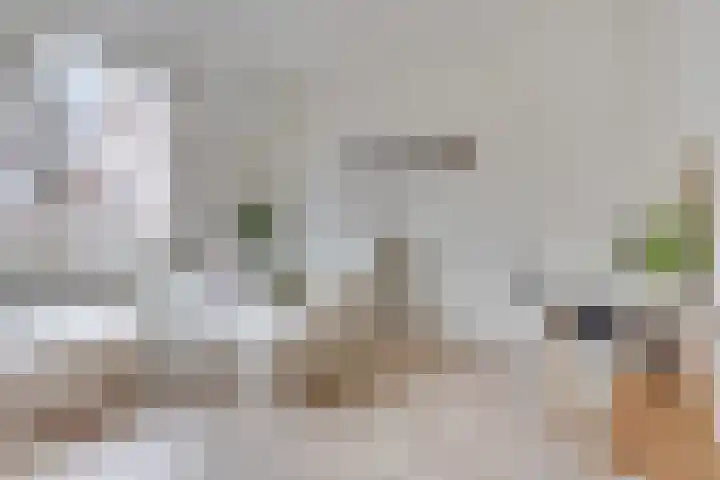 Koolstraat 47 Utrecht thumbnail 6