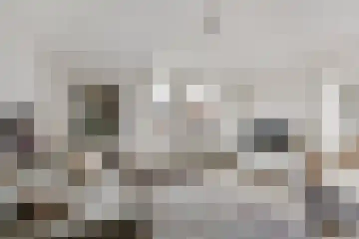 Koolstraat 5 B Leiden thumbnail 6