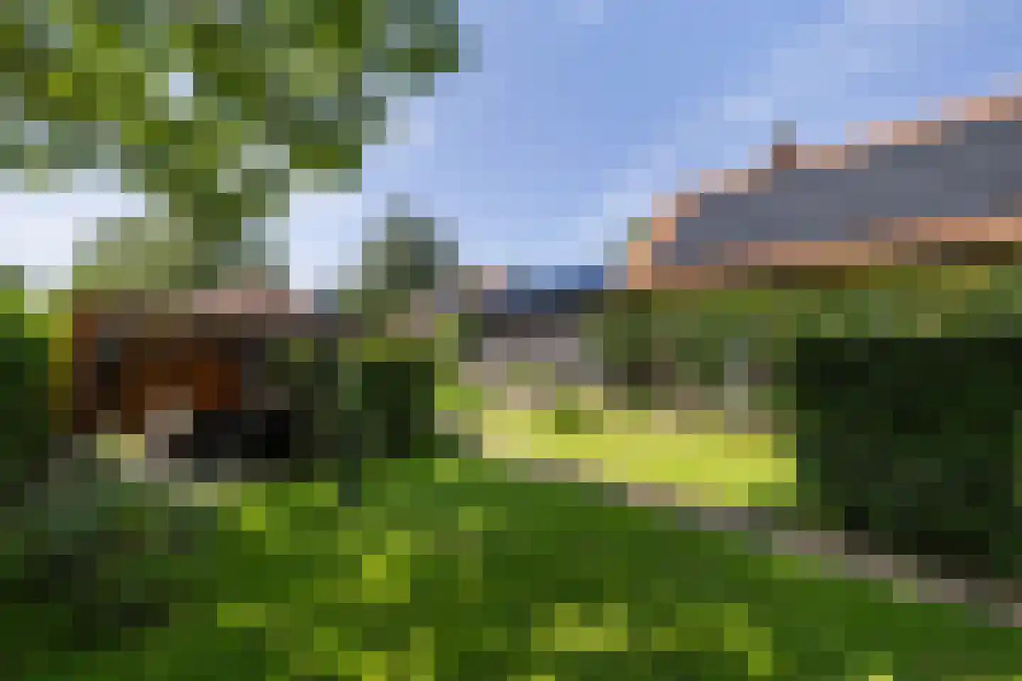 Koolweg 4 Ouddorp thumbnail 25