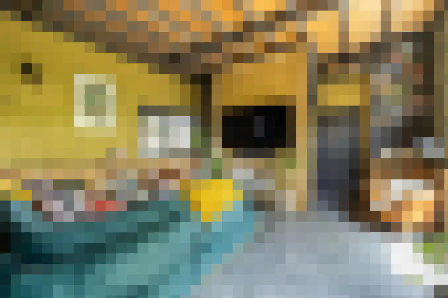 Koolweg 4 Ouddorp thumbnail 5