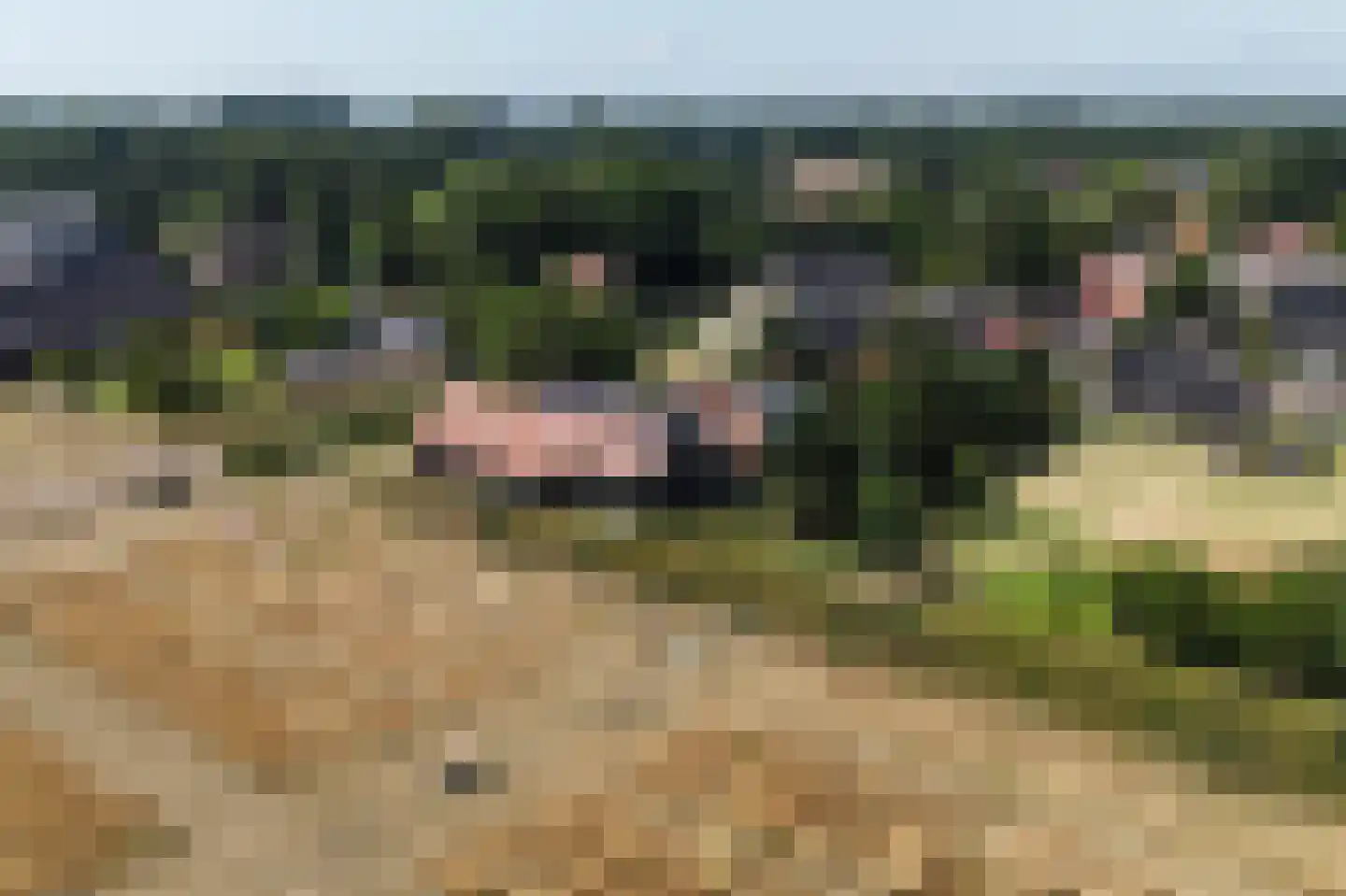 Koolweg 4 Ouddorp thumbnail 55