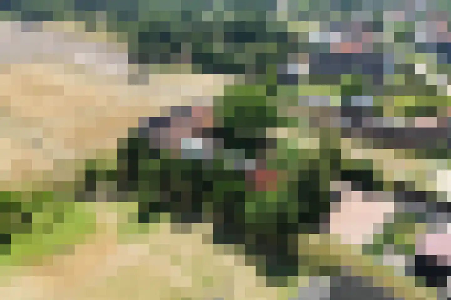 Koolweg 4 Ouddorp thumbnail 58