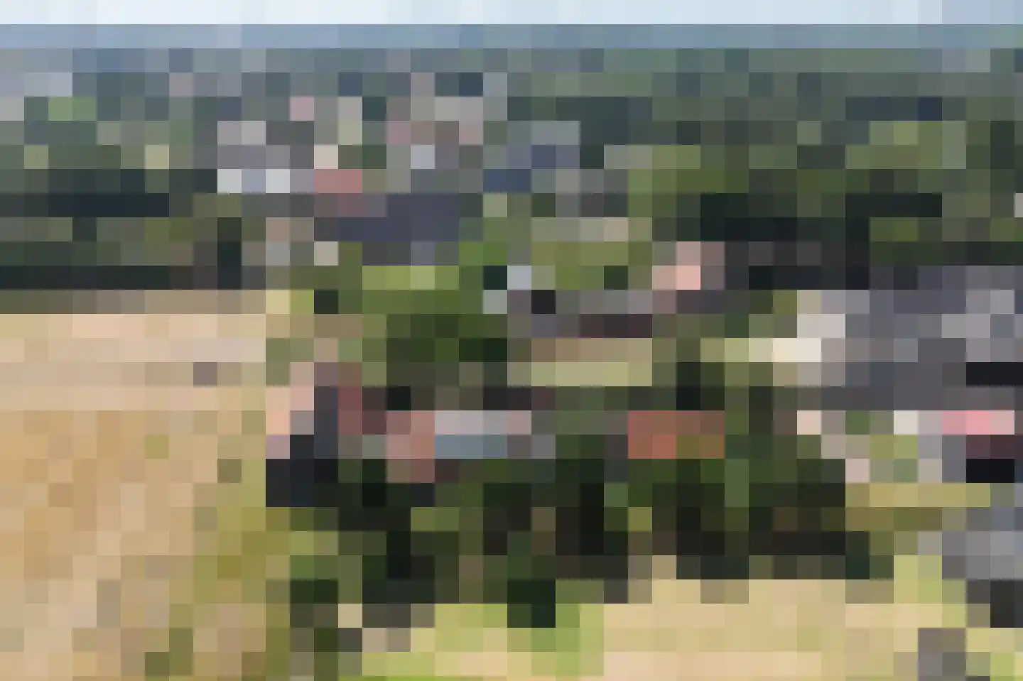 Koolweg 4 Ouddorp thumbnail 59
