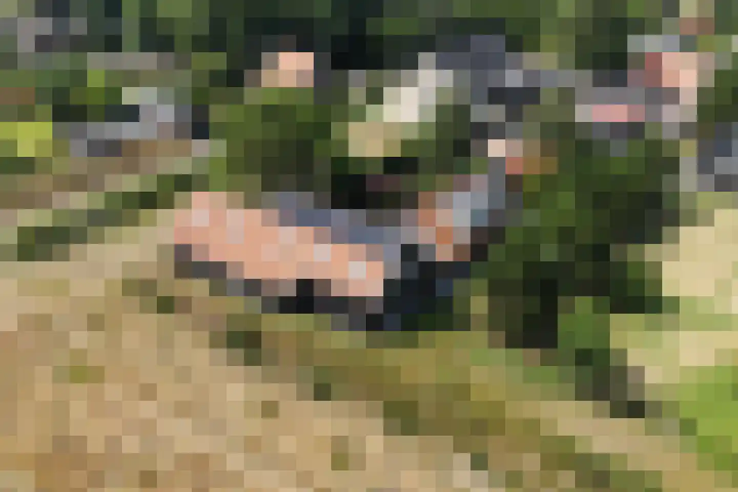 Koolweg 4 Ouddorp thumbnail 60