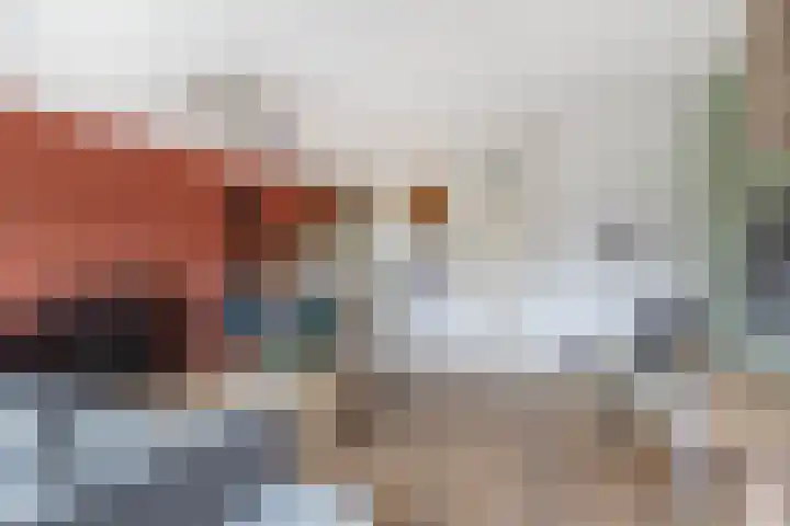 Koolwitje 1 Hellevoetsluis thumbnail 14