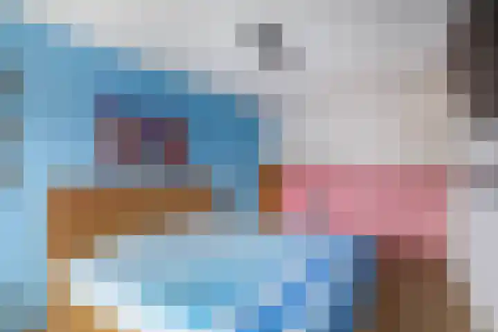 Koolwitje 1 Hellevoetsluis thumbnail 22