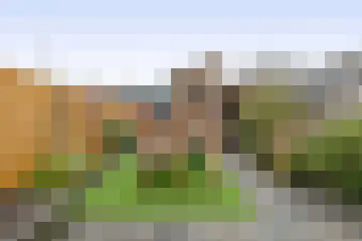 Koolwitje 1 Hellevoetsluis thumbnail 33