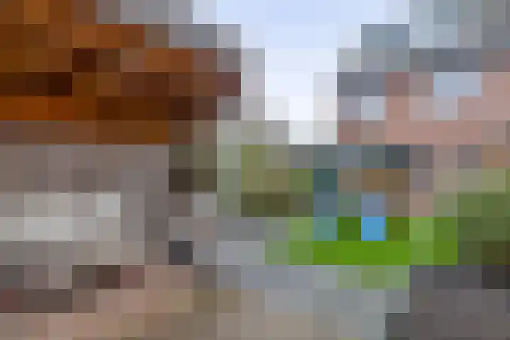 Koolwitje 1 Hellevoetsluis thumbnail 36