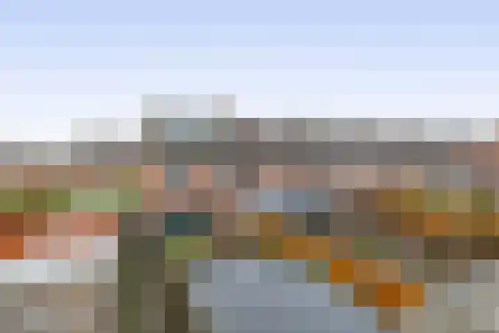 Koolwitje 1 Hellevoetsluis thumbnail 38