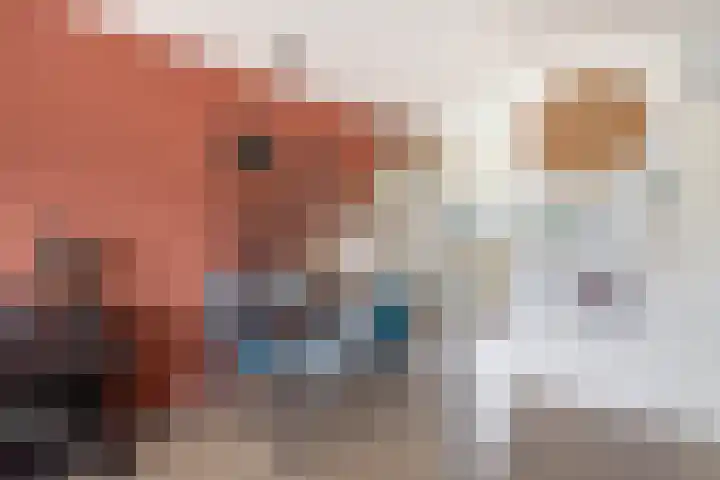 Koolwitje 1 Hellevoetsluis thumbnail 4