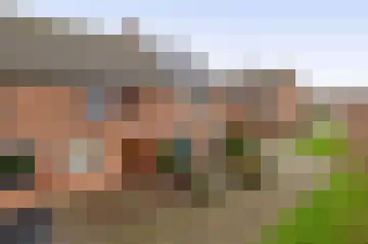 Koolwitje 1 Hellevoetsluis thumbnail 6
