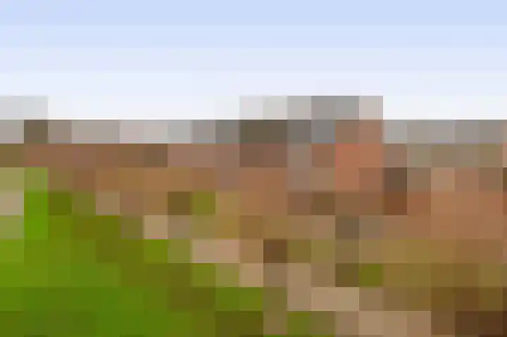 Koolwitje 1 Hellevoetsluis thumbnail 7