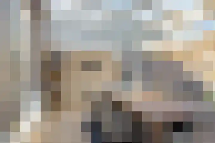 Koolwitje 2 Someren thumbnail 27