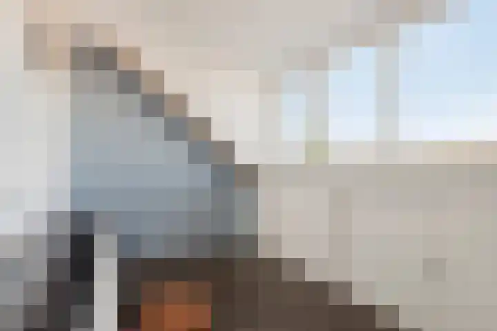 Koolwitje 2 Someren thumbnail 40