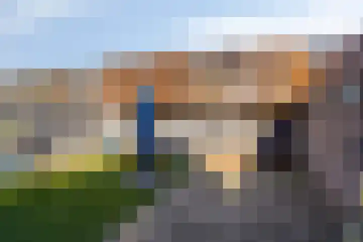 Koolwitje 2 Someren thumbnail 42