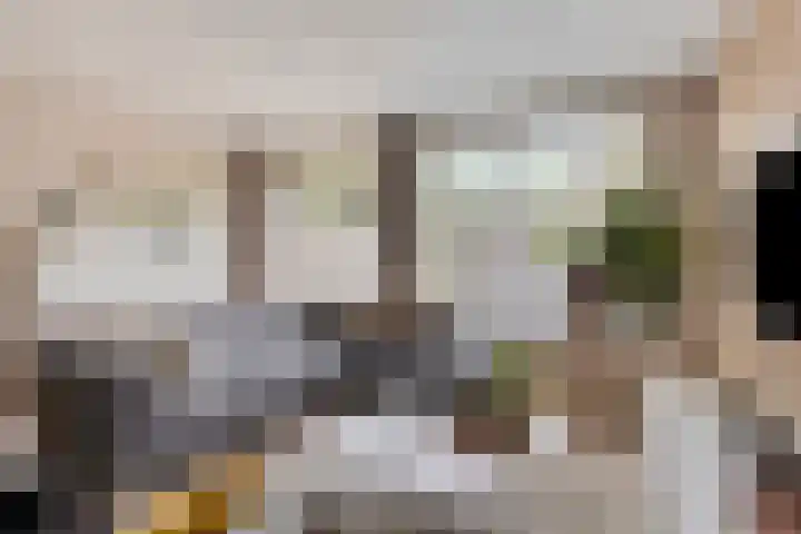 Koolwitje 34 Someren thumbnail 12