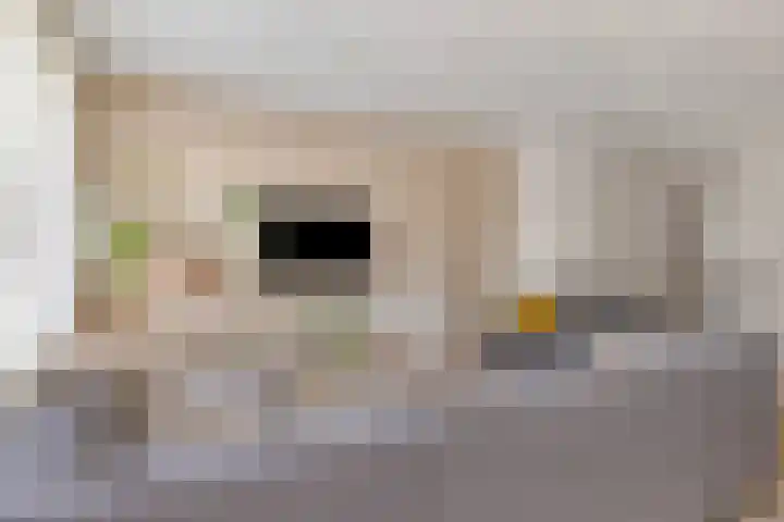 Koolwitje 34 Someren thumbnail 13