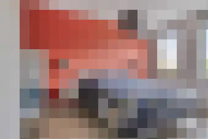 Koolwitje 34 Someren thumbnail 23