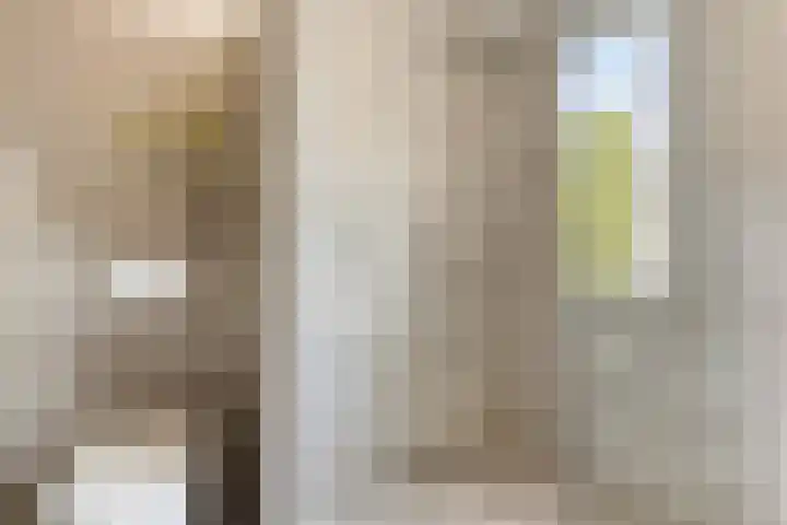 Koolwitje 34 Someren thumbnail 28