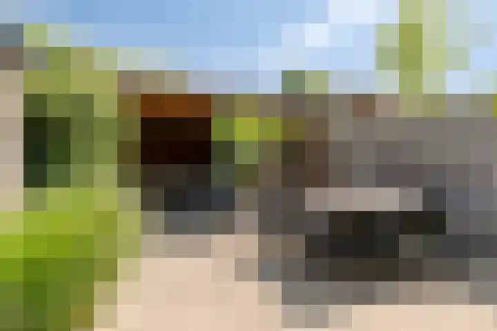 Koolwitje 34 Someren thumbnail 33