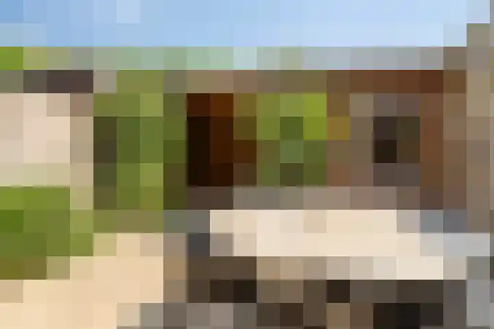 Koolwitje 34 Someren thumbnail 34